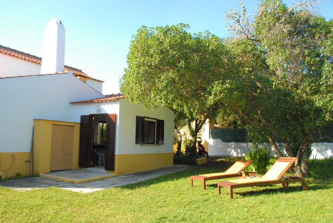 Joivy 3-Br Cottage With Terrace And Garden In Colares 신트라 외부 사진